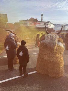 Menschen in traditionellen Kostümen bei einem Festzug in den Alpen
